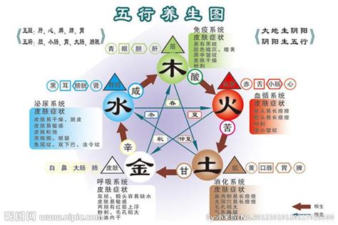 木生金|五行相生相剋:五行,四季五行,相生相剋,概念對應,五行。